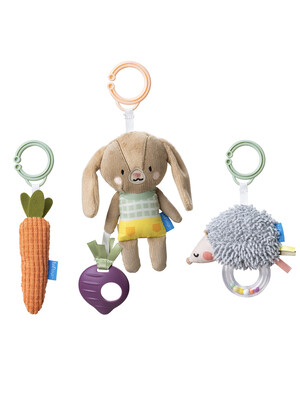 Taf Toys Baby Activity Toys Kit